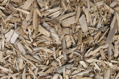 biomass boilers Nunclose